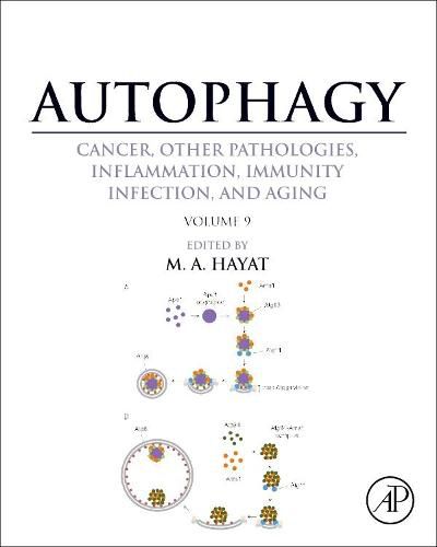 Cover image for Autophagy: Cancer, Other Pathologies, Inflammation, Immunity, Infection, and Aging: Volume 9: Human Diseases and Autophagosome