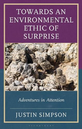 Cover image for Towards an Environmental Ethic of Surprise