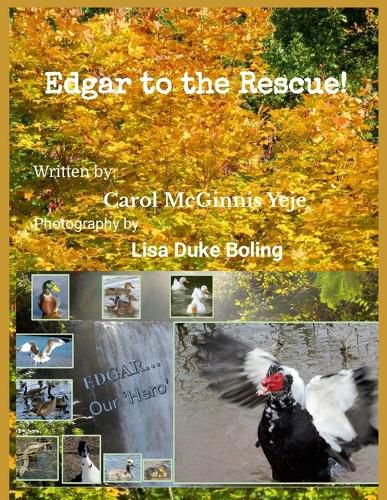 Cover image for Edgar to the rescue !