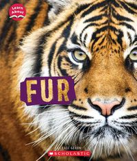 Cover image for Fur (Learn About: Animal Coverings)