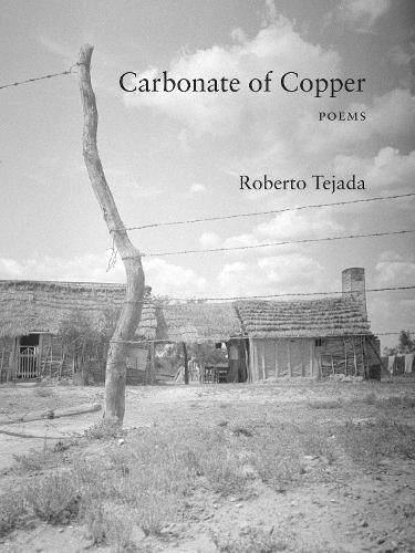 Cover image for Carbonate of Copper