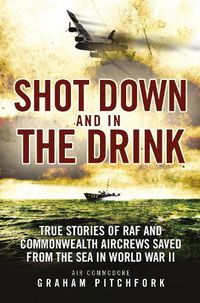 Cover image for Shot Down and in the Drink: True Stories of RAF and Commonwealth Aircrews Saved from the Sea in WWII