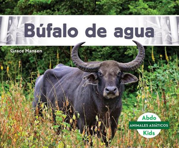 Cover image for Bufalo de Agua