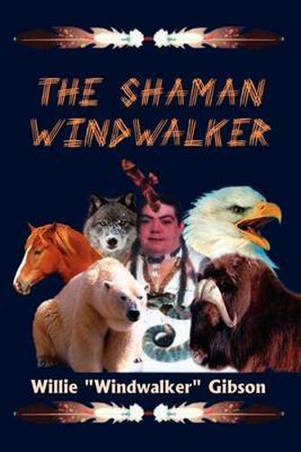 Cover image for The Shaman Windwalker