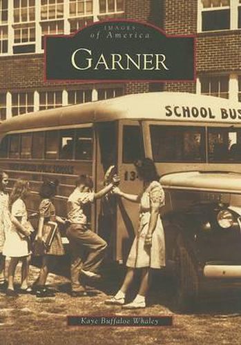 Cover image for Garner