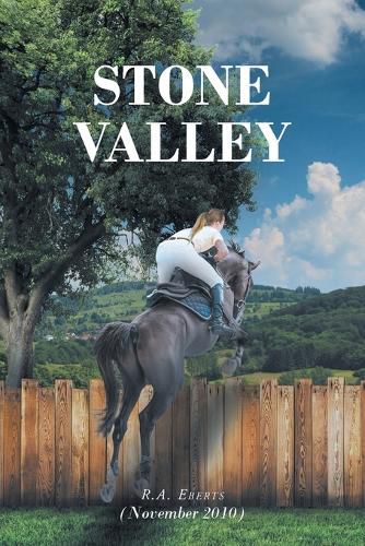 Cover image for Stone Valley: (November 2010)
