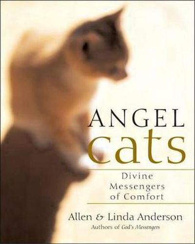Cover image for Angel Cats