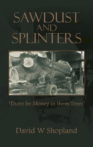 Cover image for Sawdust and Splinters