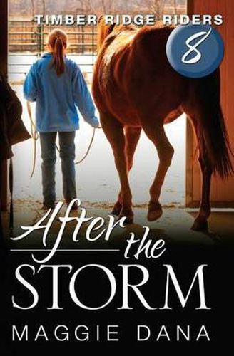 Cover image for After the Storm