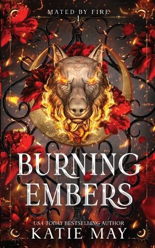 Cover image for Burning Embers