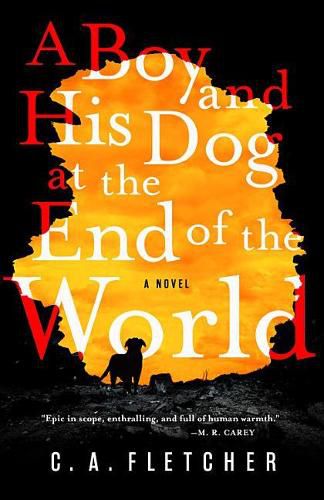 Cover image for A Boy and His Dog at the End of the World