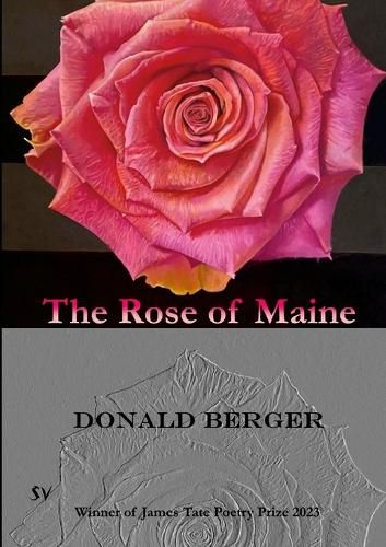 Cover image for The Rose of Maine