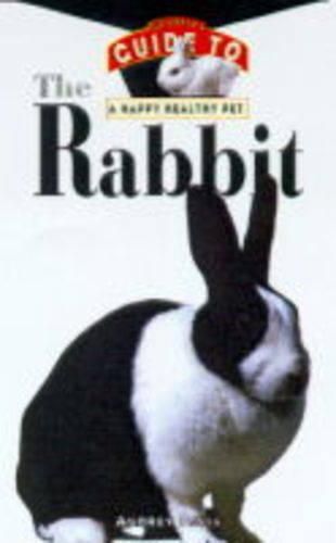 Cover image for The Rabbit