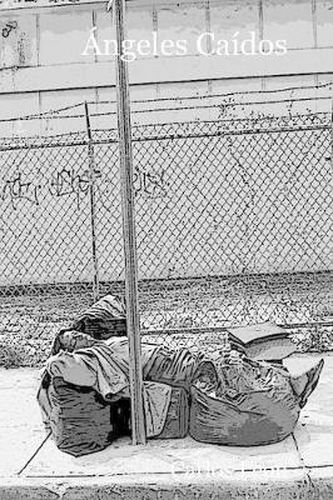 Cover image for Ngeles Caidos