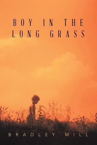 Cover image for Boy in the Long Grass