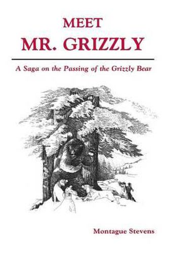 Cover image for Meet Mr. Grizzly