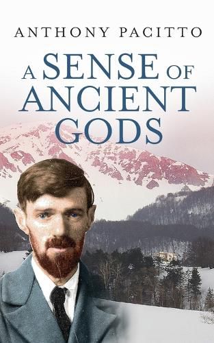 Cover image for A Sense of Ancient Gods