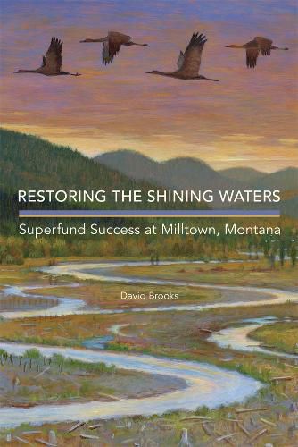 Cover image for Restoring the Shining Waters