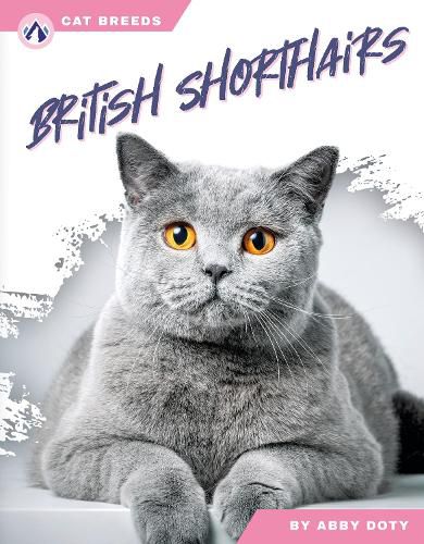 Cover image for British Shorthairs