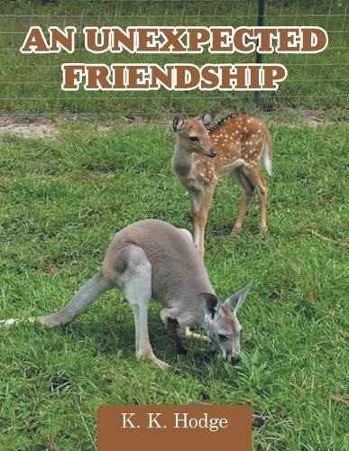 Cover image for An Unexpected Friendship