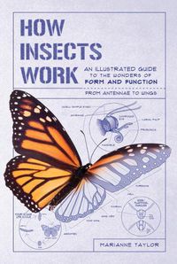 Cover image for How Insects Work: An Illustrated Guide to the Wonders of Form and Function--From Antennae to Wings