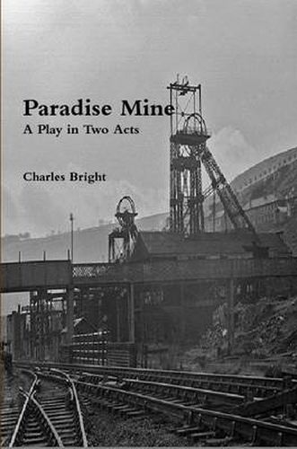 Paradise Mine