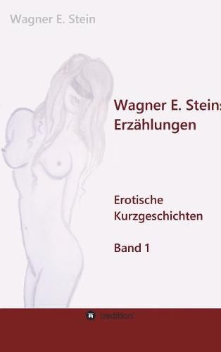 Cover image for Wagner E. Steins Erzahlungen