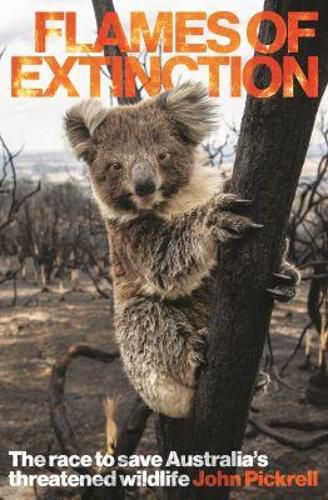 Cover image for Flames of Extinction