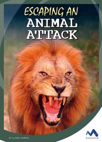 Cover image for Escaping an Animal Attack