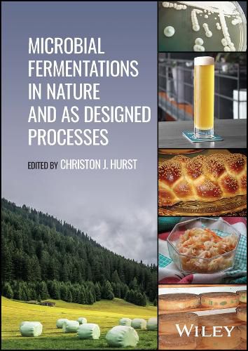 Cover image for Microbial Fermentations in Nature and as Designed Processes