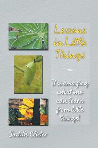 Cover image for Lessons in Little Things: It Is Amazing What One Can Learn from Little Things!