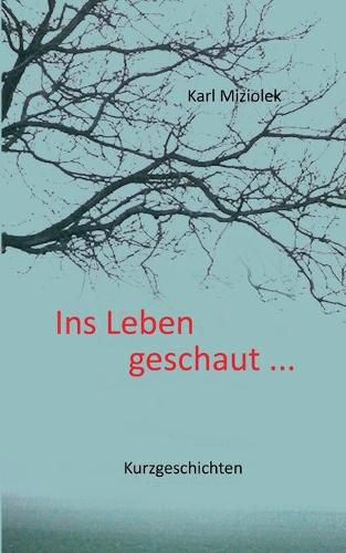 Cover image for Ins Leben geschaut ...: Kurzgeschichten