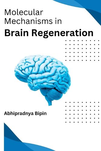 Cover image for Molecular Mechanisms in Brain Regeneration