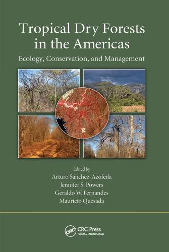 Cover image for Tropical Dry Forests in the Americas: Ecology, Conservation, and Management