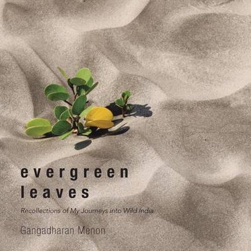 Cover image for Evergreen Leaves: Recollections of My Journeys into Wild India