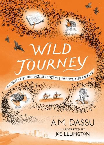 Cover image for Wild Journey