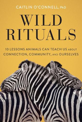 Cover image for Wild Rituals: 10 Lessons Animals Can Teach Us About Connection, Community, and Ourselves