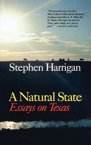 Cover image for A Natural State: Essays on Texas