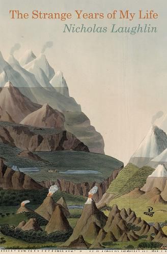 Cover image for The Strange Years of My Life