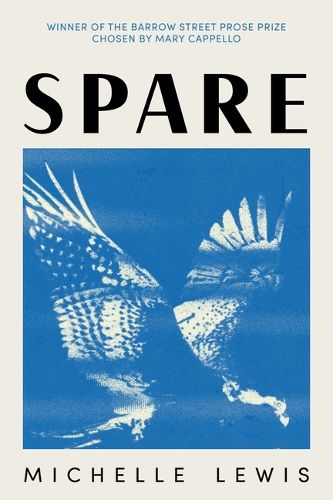 Cover image for Spare