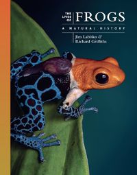 Cover image for The Lives of Frogs