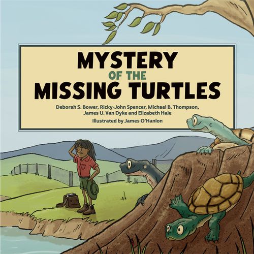 Cover image for Mystery of the Missing Turtles