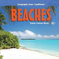 Cover image for Beaches