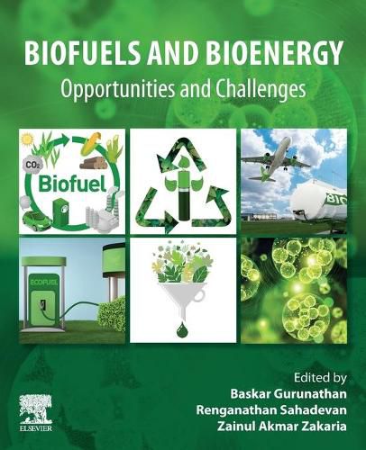 Cover image for Biofuels and Bioenergy: Opportunities and Challenges