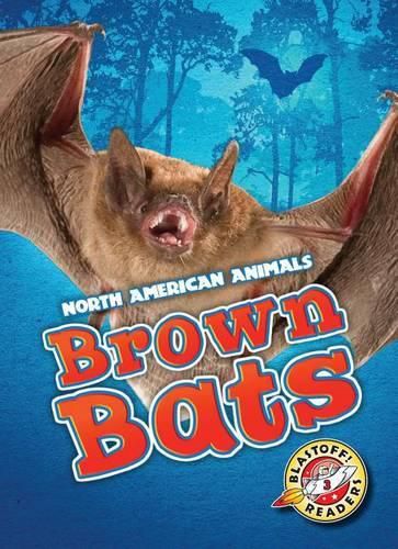 Brown Bats