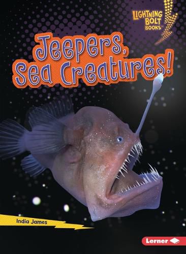 Cover image for Jeepers, Sea Creatures!