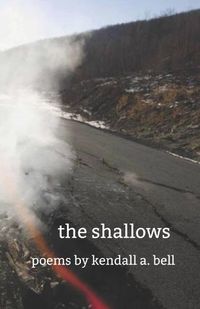 Cover image for The shallows