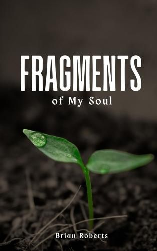Cover image for Fragments of My Soul