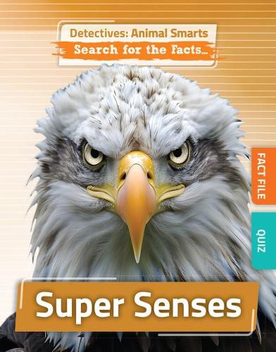 Cover image for Super Senses