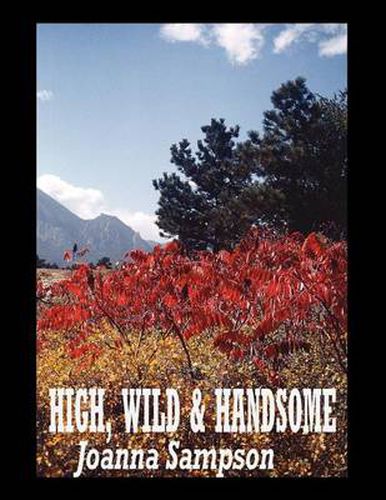 High, Wild & Handsome